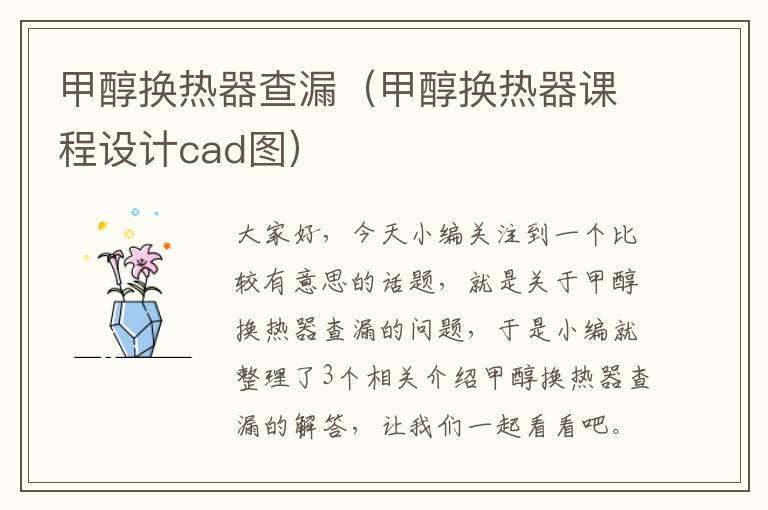 甲醇换热器查漏（甲醇换热器课程设计cad图）