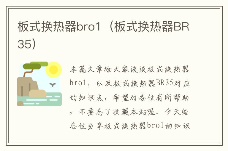 板式换热器bro1（板式换热器BR35）