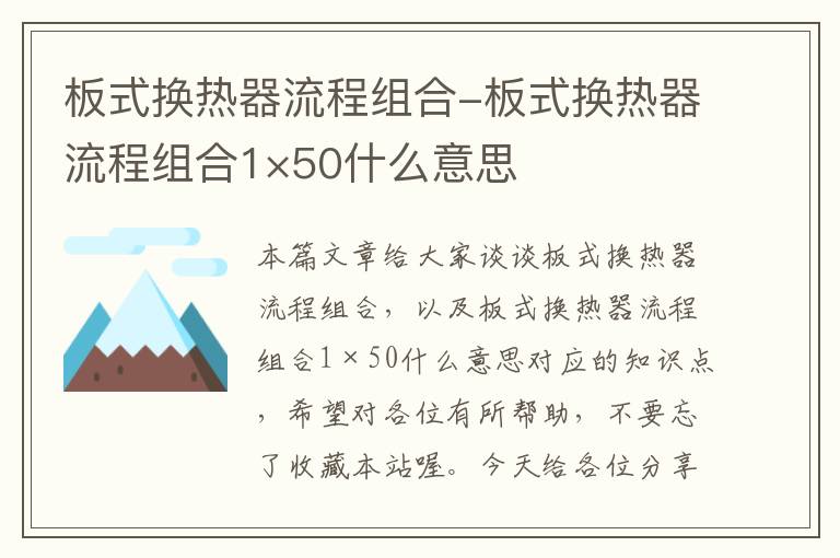 板式换热器流程组合-板式换热器流程组合1×50什么意思