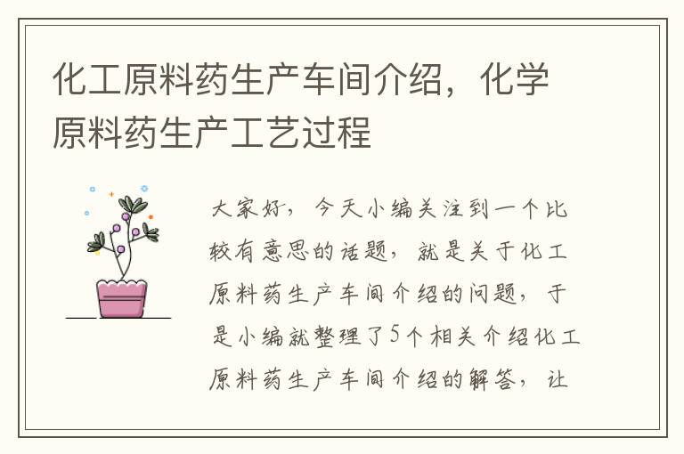 化工原料药生产车间介绍，化学原料药生产工艺过程