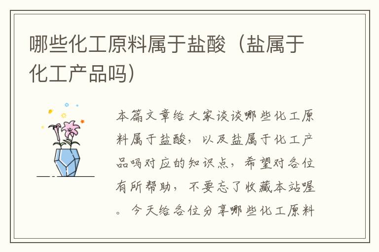 哪些化工原料属于盐酸（盐属于化工产品吗）