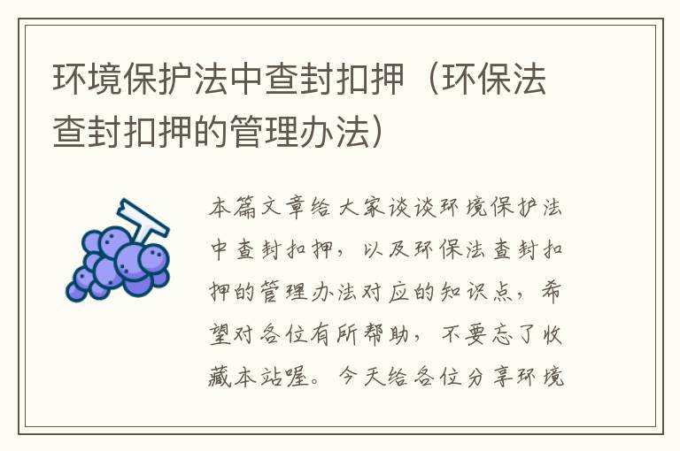 环境保护法中查封扣押（环保法查封扣押的管理办法）