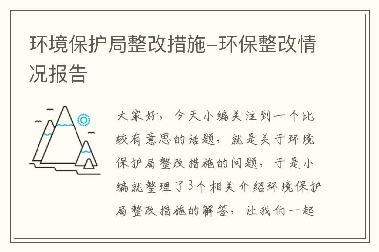 环境保护局整改措施-环保整改情况报告