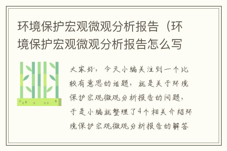 环境保护宏观微观分析报告（环境保护宏观微观分析报告怎么写）