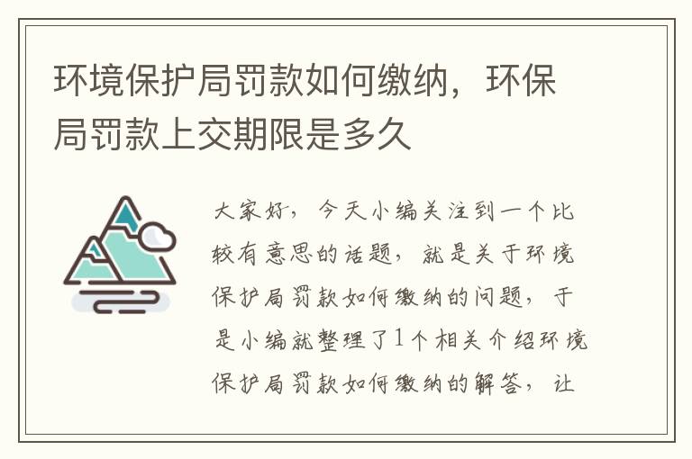 环境保护局罚款如何缴纳，环保局罚款上交期限是多久