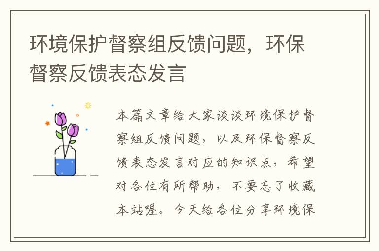 环境保护督察组反馈问题，环保督察反馈表态发言