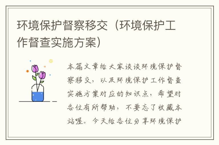 环境保护督察移交（环境保护工作督查实施方案）