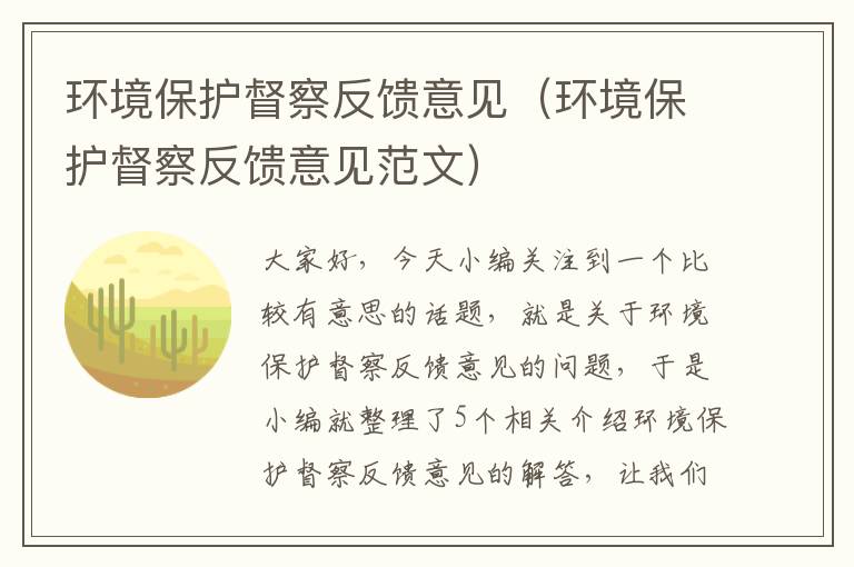 环境保护督察反馈意见（环境保护督察反馈意见范文）