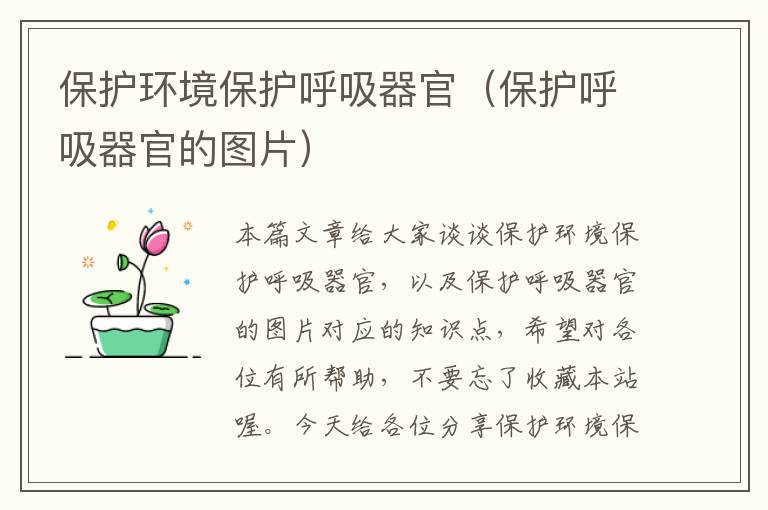 保护环境保护呼吸器官（保护呼吸器官的图片）