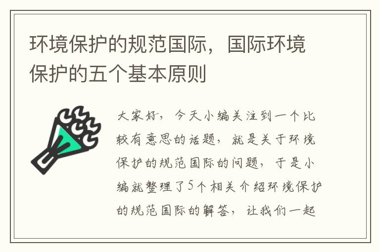 环境保护的规范国际，国际环境保护的五个基本原则