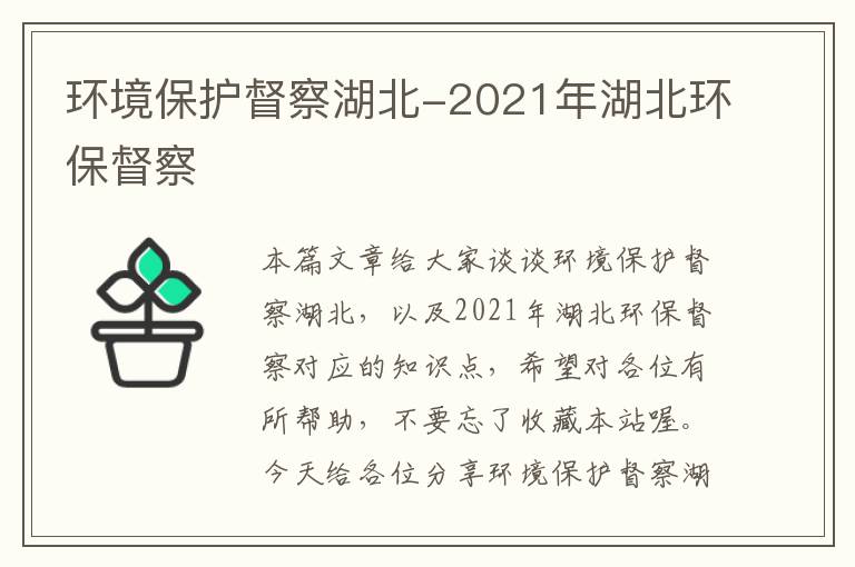 环境保护督察湖北-2021年湖北环保督察