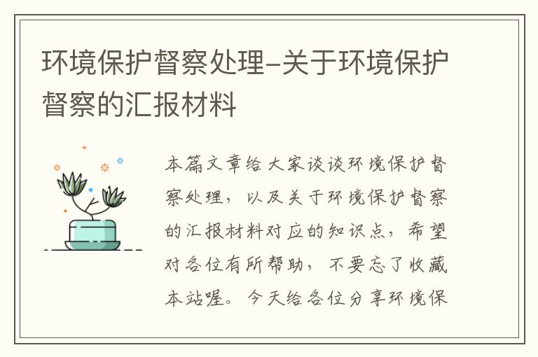 环境保护督察处理-关于环境保护督察的汇报材料