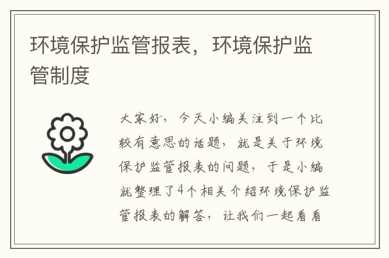 环境保护监管报表，环境保护监管制度