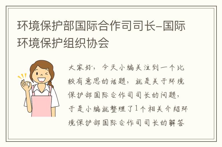 环境保护部国际合作司司长-国际环境保护组织协会