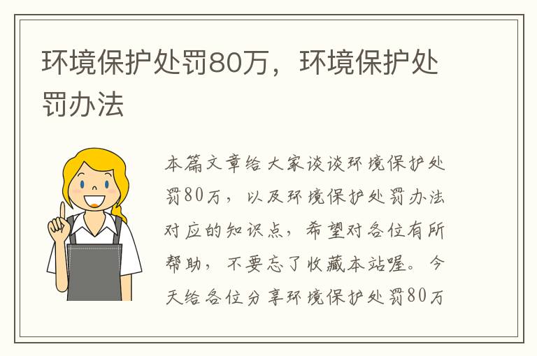 环境保护处罚80万，环境保护处罚办法