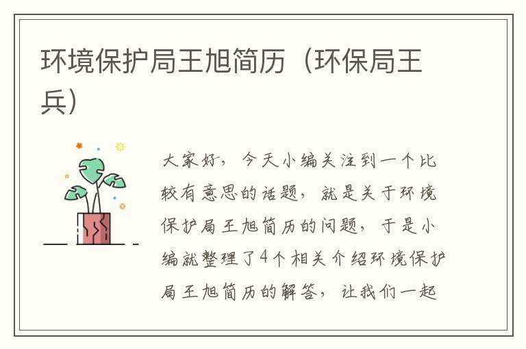 环境保护局王旭简历（环保局王兵）