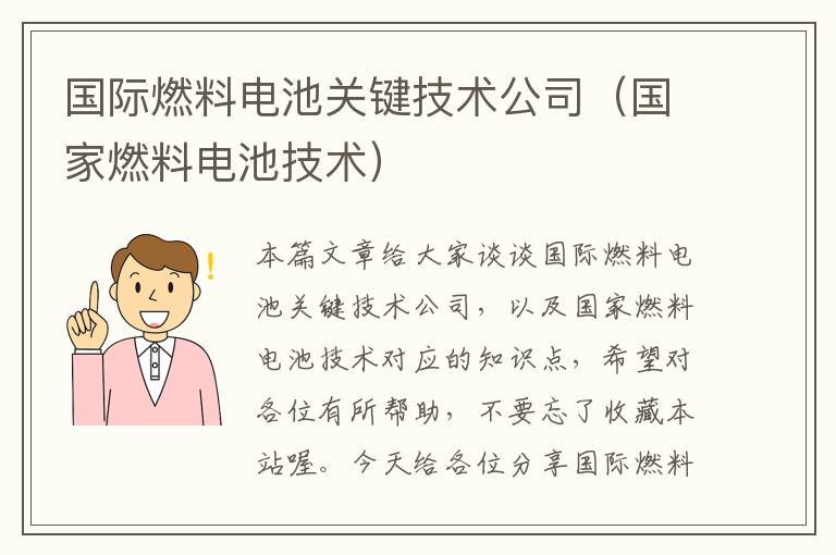 国际燃料电池关键技术公司（国家燃料电池技术）