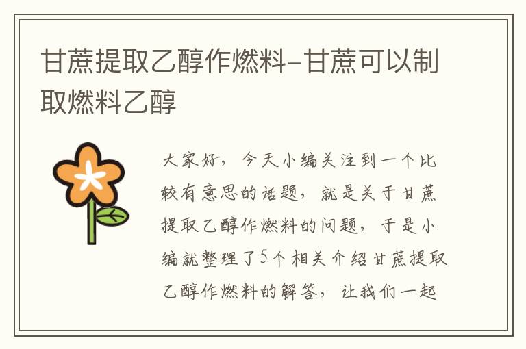 甘蔗提取乙醇作燃料-甘蔗可以制取燃料乙醇