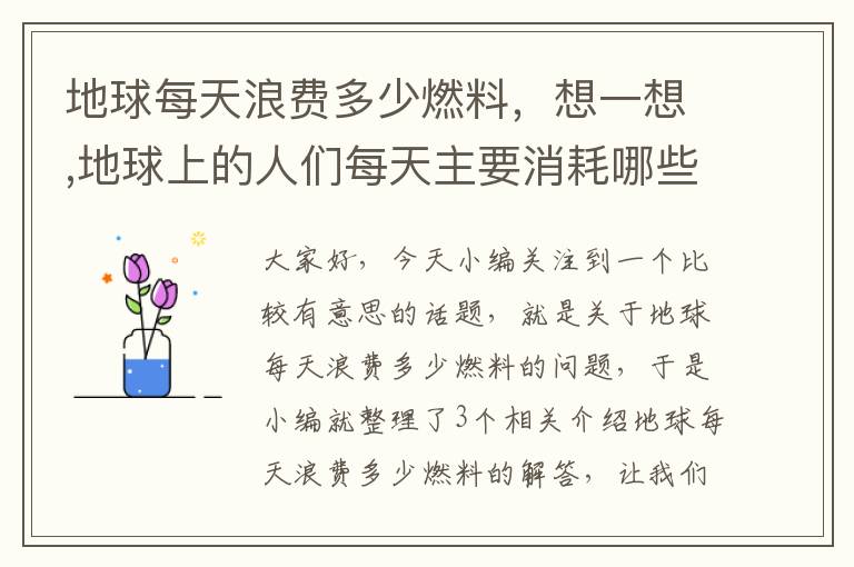 地球每天浪费多少燃料，想一想,地球上的人们每天主要消耗哪些资源