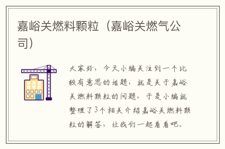 嘉峪关燃料颗粒（嘉峪关燃气公司）