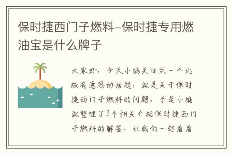 保时捷西门子燃料-保时捷专用燃油宝是什么牌子