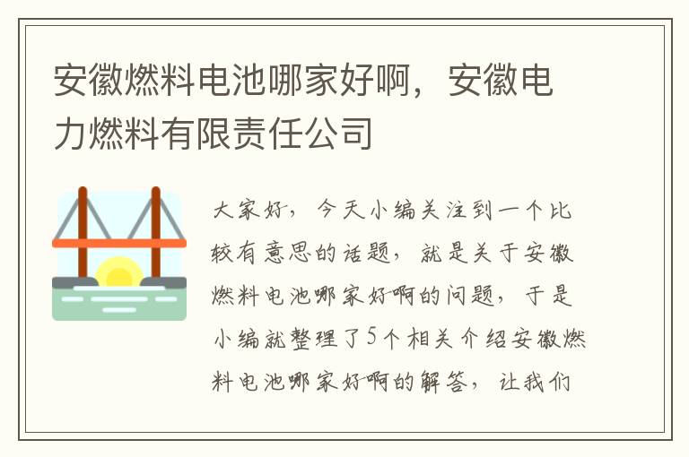 安徽燃料电池哪家好啊，安徽电力燃料有限责任公司