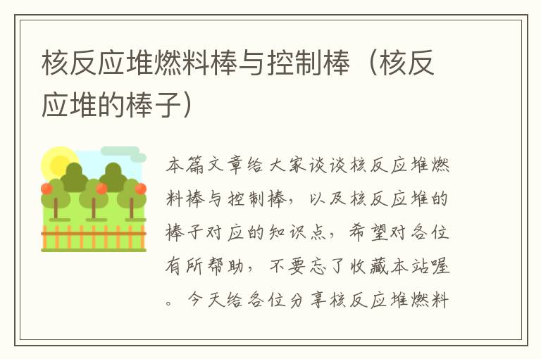 核反应堆燃料棒与控制棒（核反应堆的棒子）