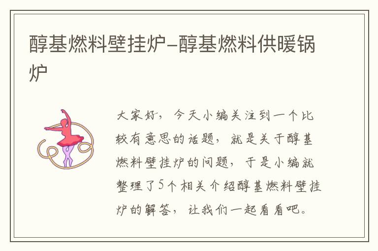 醇基燃料壁挂炉-醇基燃料供暖锅炉