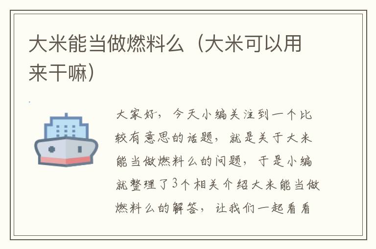 大米能当做燃料么（大米可以用来干嘛）