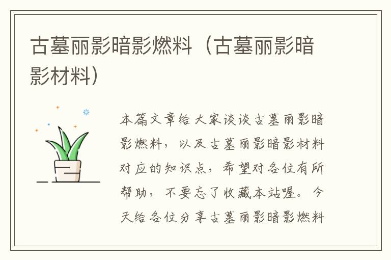 古墓丽影暗影燃料（古墓丽影暗影材料）