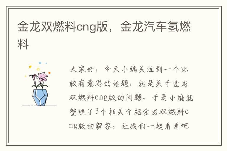 金龙双燃料cng版，金龙汽车氢燃料