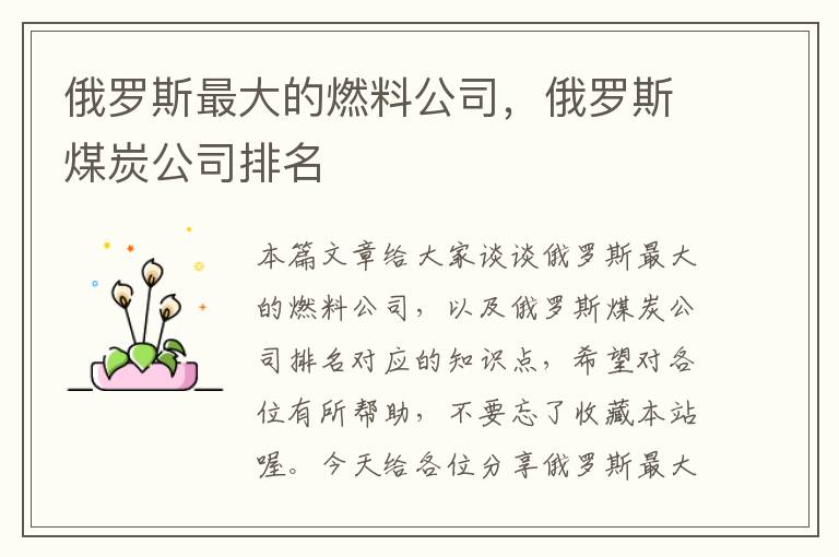 俄罗斯最大的燃料公司，俄罗斯煤炭公司排名