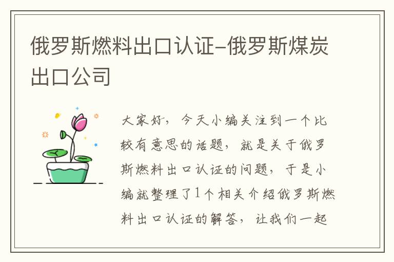 俄罗斯燃料出口认证-俄罗斯煤炭出口公司