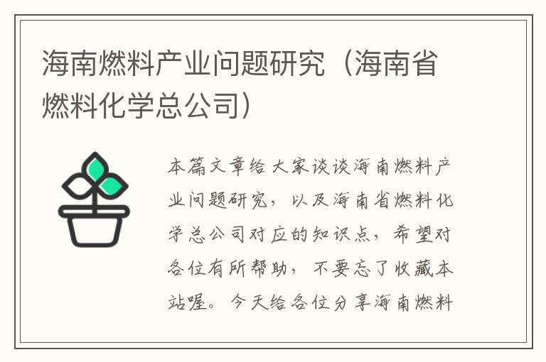 海南燃料产业问题研究（海南省燃料化学总公司）