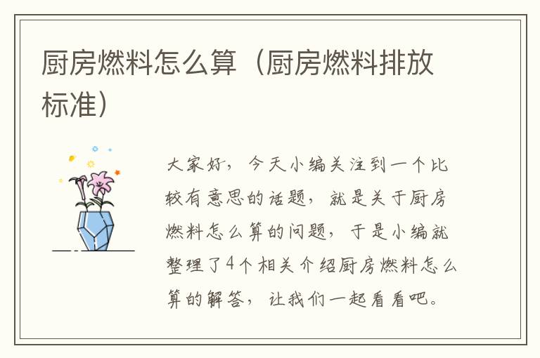 厨房燃料怎么算（厨房燃料排放标准）