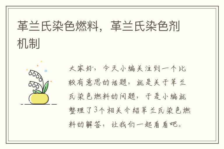 革兰氏染色燃料，革兰氏染色剂机制