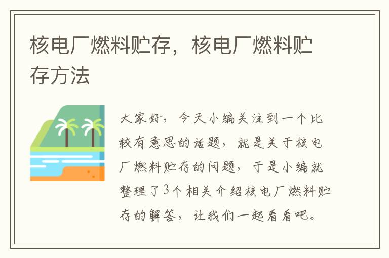 核电厂燃料贮存，核电厂燃料贮存方法