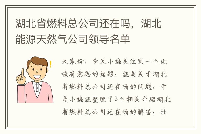 湖北省燃料总公司还在吗，湖北能源天然气公司领导名单