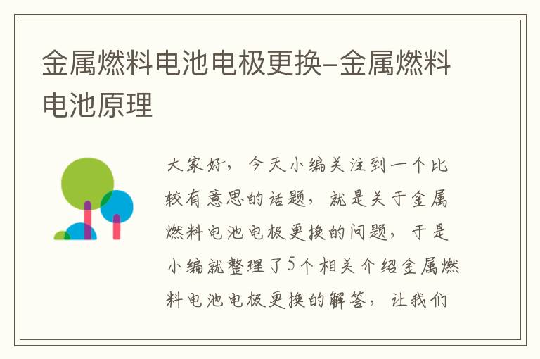 金属燃料电池电极更换-金属燃料电池原理