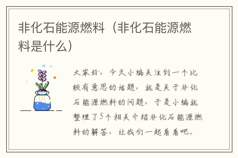 非化石能源燃料（非化石能源燃料是什么）