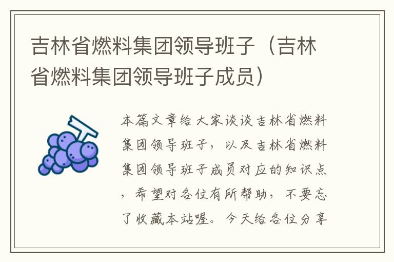 吉林省燃料集团领导班子（吉林省燃料集团领导班子成员）