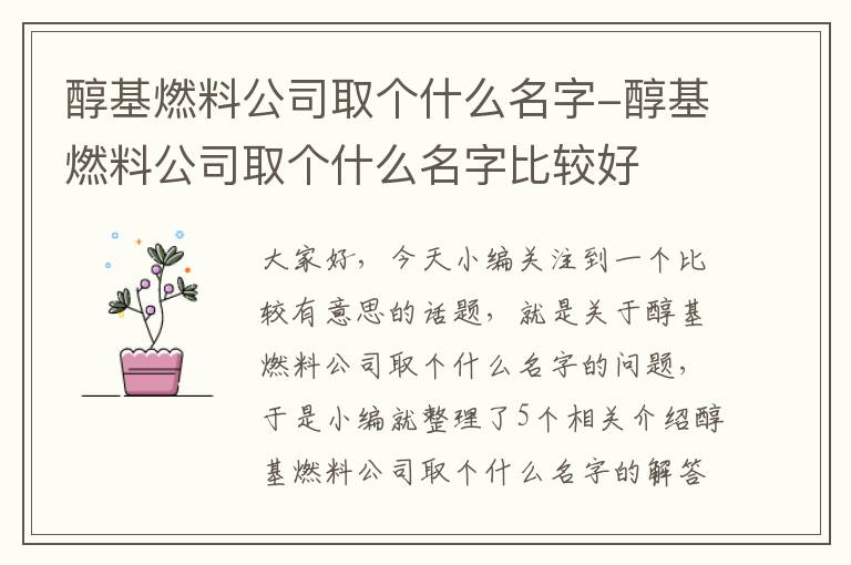 醇基燃料公司取个什么名字-醇基燃料公司取个什么名字比较好