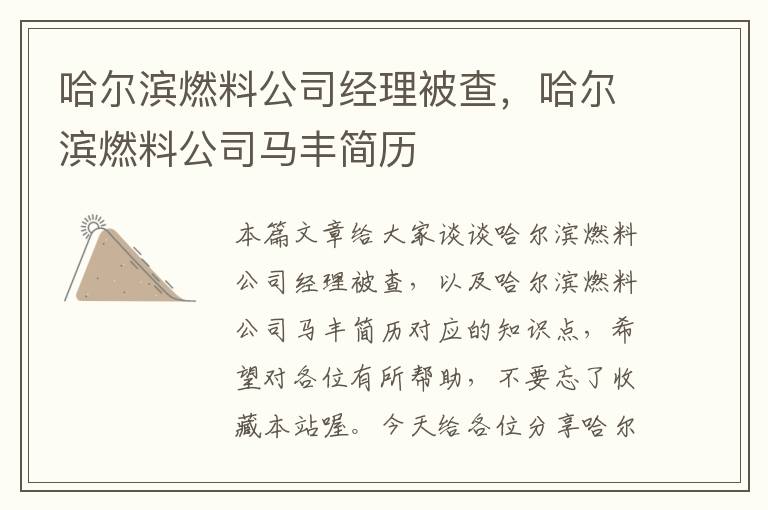 哈尔滨燃料公司经理被查，哈尔滨燃料公司马丰简历