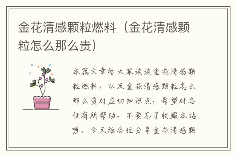 金花清感颗粒燃料（金花清感颗粒怎么那么贵）