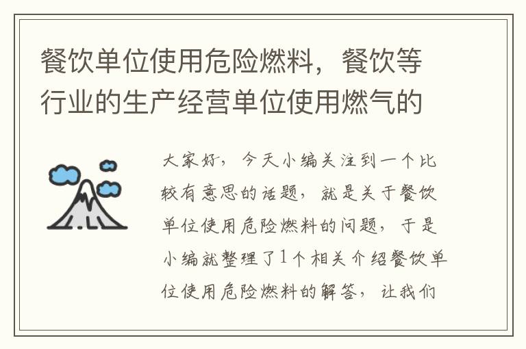 餐饮单位使用危险燃料，餐饮等行业的生产经营单位使用燃气的应当安装可燃