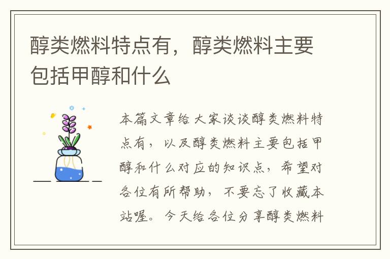 醇类燃料特点有，醇类燃料主要包括甲醇和什么