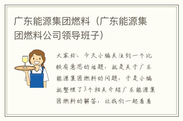 广东能源集团燃料（广东能源集团燃料公司领导班子）