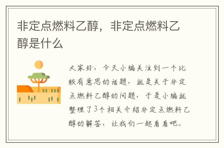 非定点燃料乙醇，非定点燃料乙醇是什么