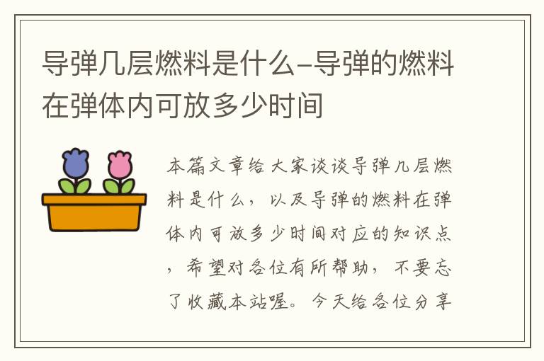 导弹几层燃料是什么-导弹的燃料在弹体内可放多少时间