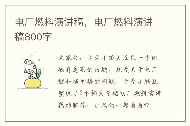 电厂燃料演讲稿，电厂燃料演讲稿800字